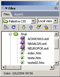 Screenshot dos arquivos criados